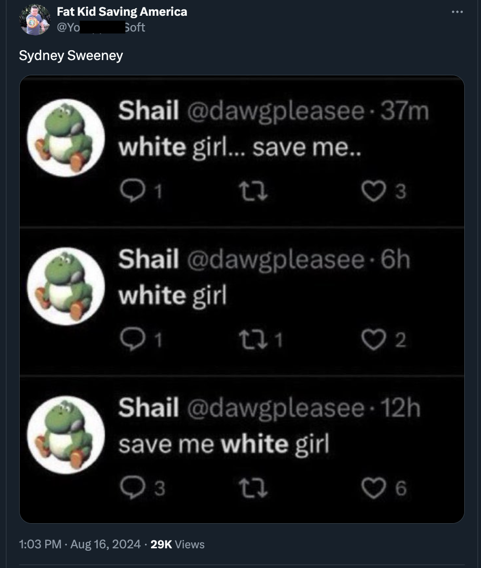 screenshot - Fat Kid Saving America Sydney Sweeney Soft Shail white girl... save me.. 1 3 Shail white girl 1 221 2 Shail save me white girl 3 22 6 29K Views